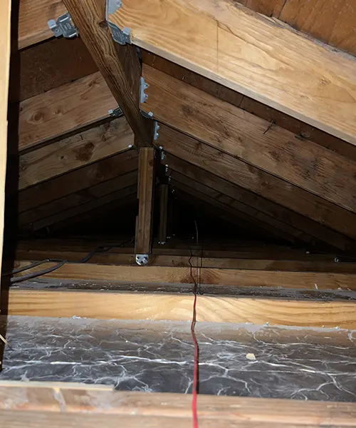 Mold Remediation in Attic Over Pool in Bellevue 
